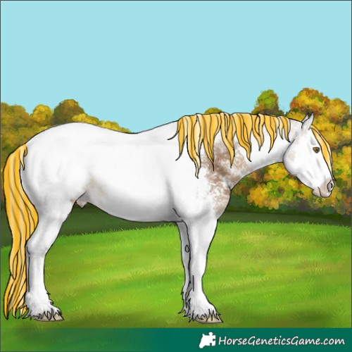 Horse Color:Painted Chocolate Palomino Sabino Splash Tobiano Snowcap 