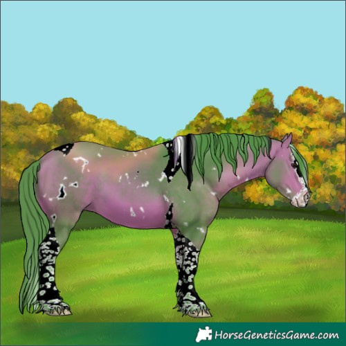 Horse Color:Watercolor White Spotted Bay Splash Tobiano 