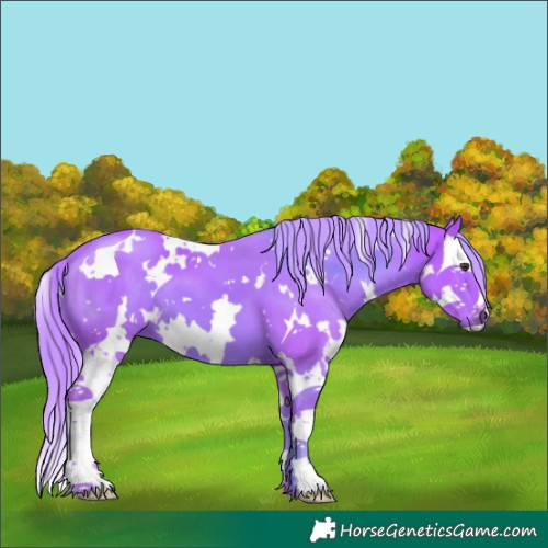 Horse Color:Watercolor White Spotted Chestnut Splash 