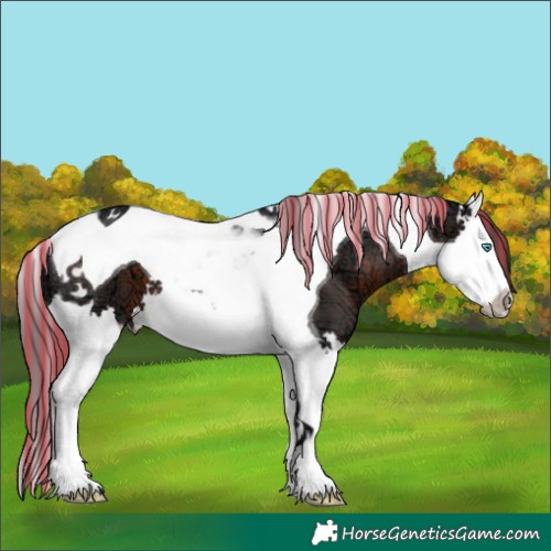 Horse Color:Painted Brown Ice Splash Tobiano 