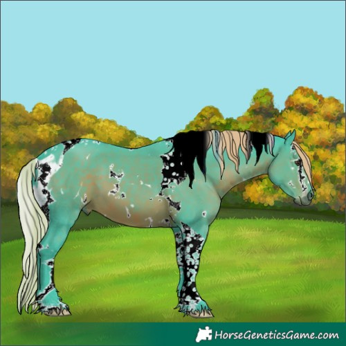 Horse Color:Watercolor White Spotted Liver Chestnut Splash Tobiano 