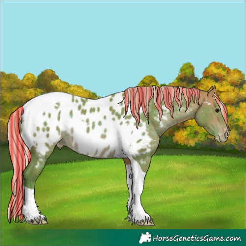 Horse Color:Painted Watercolor Silver Brown Tobiano Appaloosa 