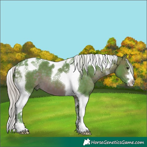 Horse Color:Watercolor Silver Brown Tobiano 