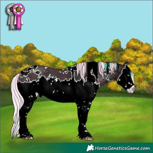 Horse Color:White Spotted Midnight Chestnut Snowdrop Splash