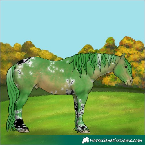 Horse Color:Watercolor White Spotted Bay Tobiano Varnish