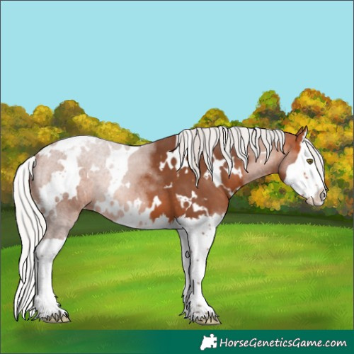 Horse Color:White Spotted Silver Bay Splash Blanket 