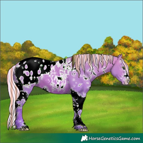 Horse Color:Painted Watercolor White Spotted Silver Sable Champagne Splash Tobiano Blanket 