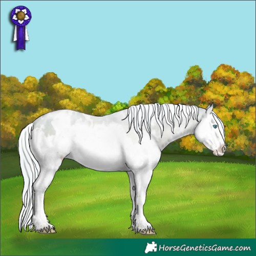 Horse Color:White Spotted Chestnut Snowdrop Splash 