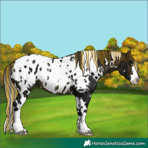 Horse Color:Painted White Spotted Bay Ice Blanket 
