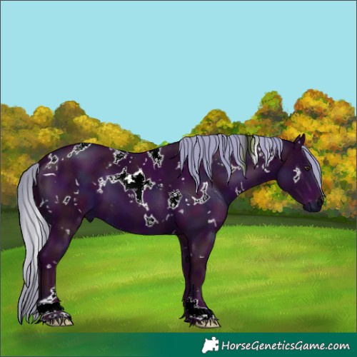 Horse Color:Watercolor White Spotted Midnight Chestnut 