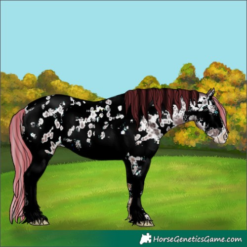 Horse Color:Painted Bay Ice Snowdrop Pearl Splash Tobiano Near Leopard 
