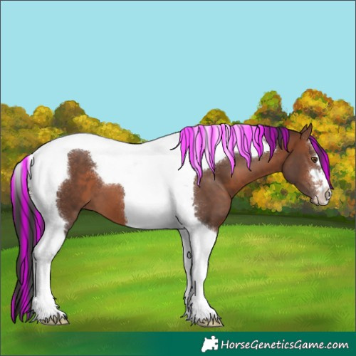 Horse Color:Painted Brown Tobiano 
