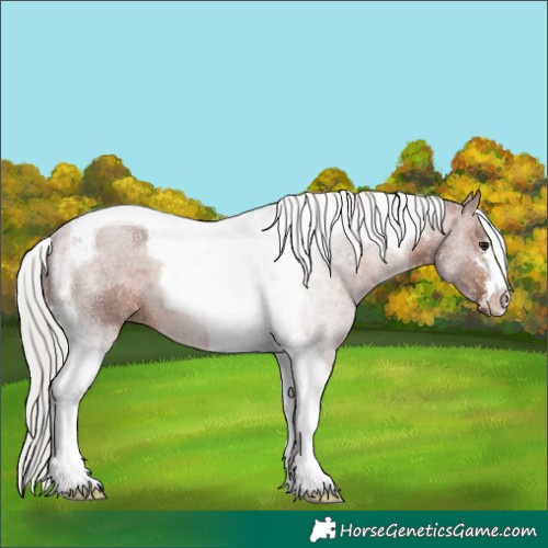 Horse Color:Silver Brown Tobiano