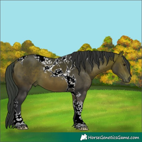 Horse Color:Bay Tobiano 