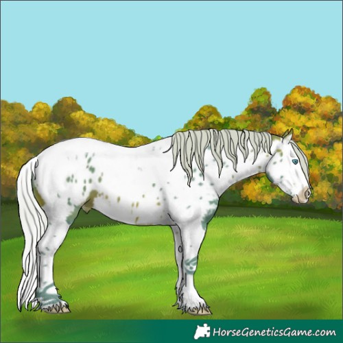 Horse Color:Watercolor Silver Bay Splash Tobiano Appaloosa 