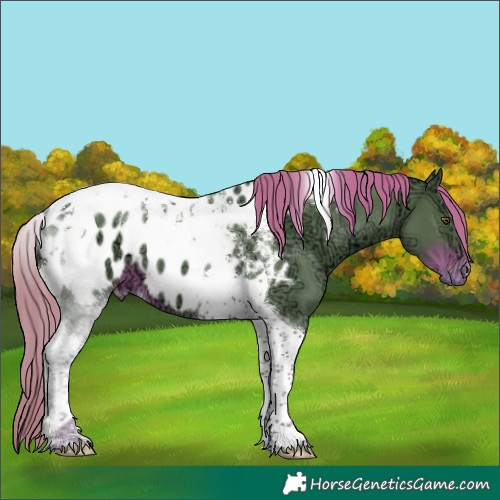 Horse Color:Watercolor Liver Chestnut Ice Tobiano Blanket