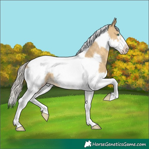 Horse Color:Silver Classic Cream Champagne Dun Tobiano Frame
