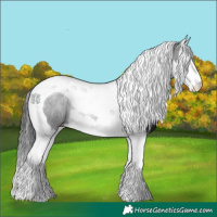 Horse Color:Black Splash Tobiano