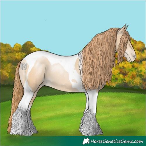 Horse Color:Smoky Black Pearl Tobiano 