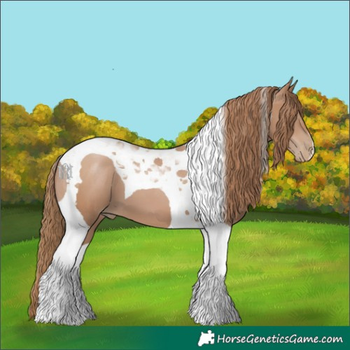 Horse Color:Black Pearl Tobiano 