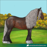 Horse Color:Silver Brown Rabicano