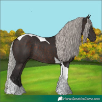 Horse Color:Silver Brown Tobiano Rabicano 