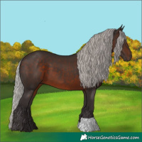 Horse Color:Silver Brown 
