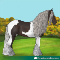 Horse Color:Silver Brown Tobiano