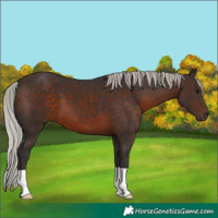 Horse Color:Silver Brown