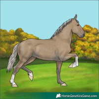Horse Color:Silver Smoky Grullo