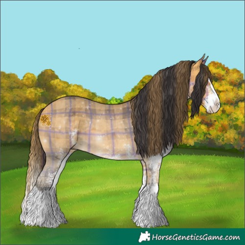 Horse Color:Plaid White Spotted Buckskin Splash