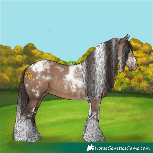 Horse Color:White Spotted Liver Red Dun Tobiano Rabicano 