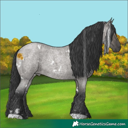 Horse Color:White Spotted Grullo Roan 