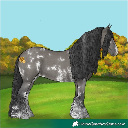 Horse Color:White Spotted Grullo Sabino