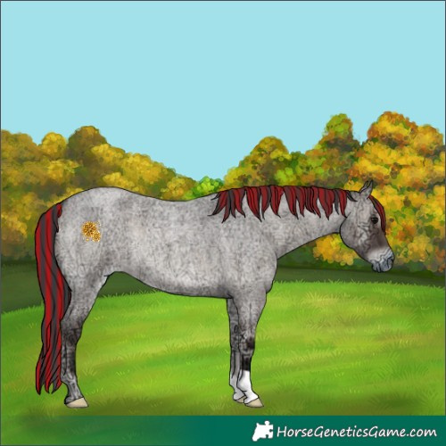 Horse Color:Painted Grullo Ice Roan Onyx 