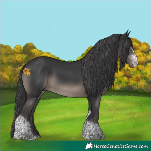 Horse Color:Black Sabino Tobiano Rabicano 