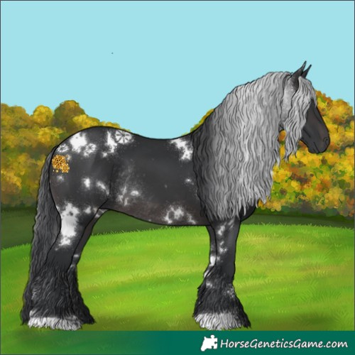Horse Color:Platinum White Spotted Brown Rabicano