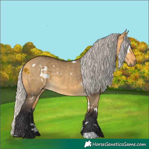 Horse Color:White Spotted Silver Buckskin Dun 