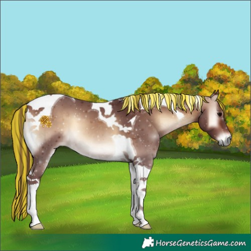 Horse Color:Painted Chocolate Bay Onyx Tobiano