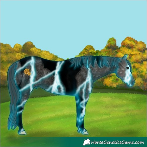 Horse Color:Void Thunderstruck Grullo Ice Roan Tobiano 