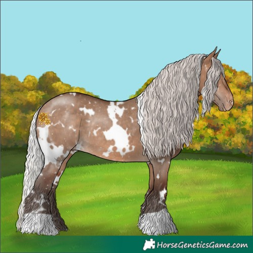 Horse Color:White Spotted Silver Brown Dun Appaloosa Rabicano