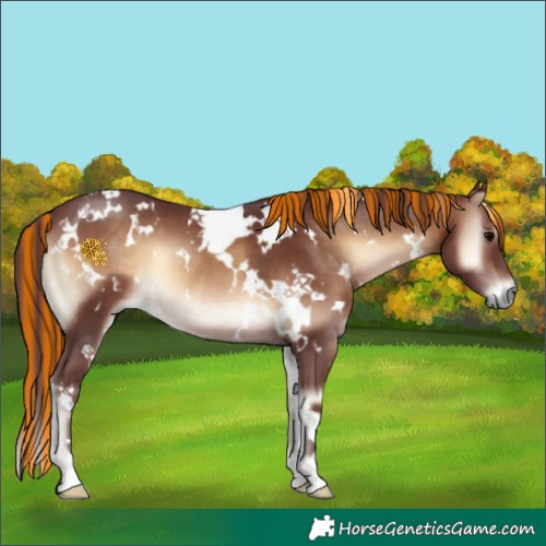 Horse Color:Painted White Spotted Chocolate Brown Onyx
