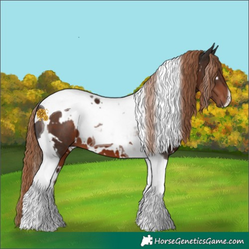 Horse Color:White Spotted Liver Chestnut Tobiano 