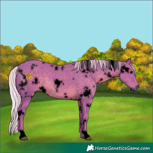 Horse Color:Void Watercolor White Spotted Silver Black 