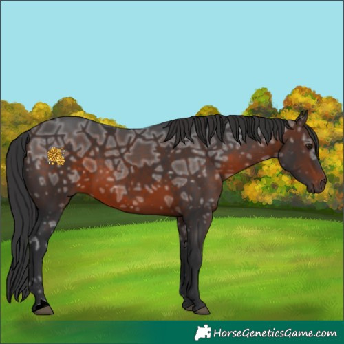 Horse Color:Brown Ice