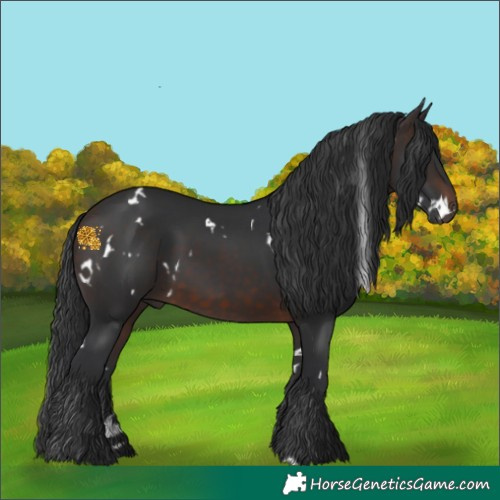 Horse Color:White Spotted Brown Rabicano 