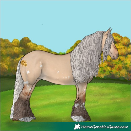 Horse Color:White Spotted Silver Bay Dun 