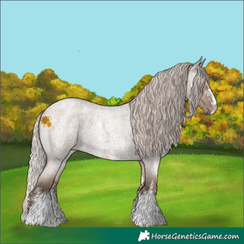 Horse Color:Silver Grullo Roan Sabino 