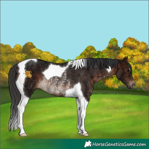 Horse Color:Brown Ice Tobiano Rabicano