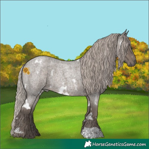 Horse Color:White Spotted Silver Blue Roan 